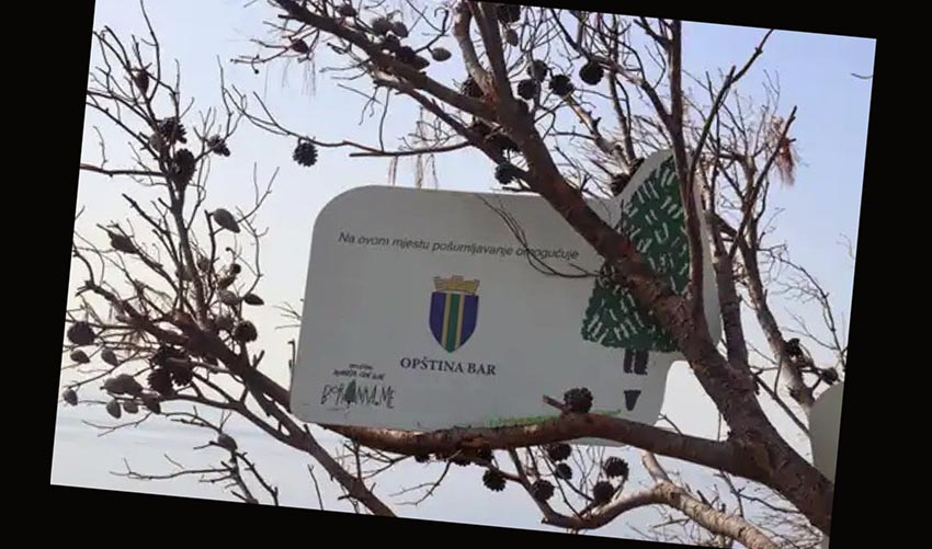 drcv