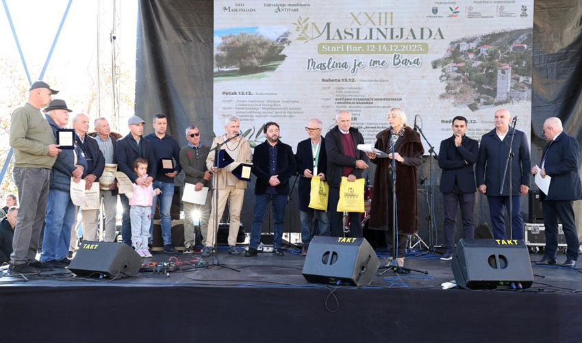 otv maslin 2