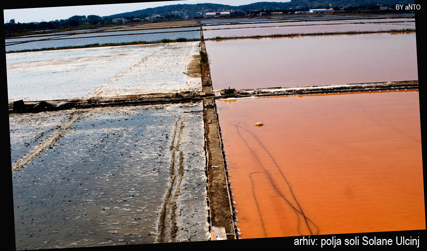 polja soli