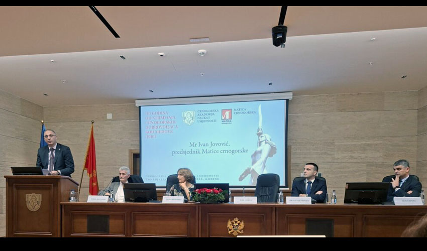 medova ivo 1