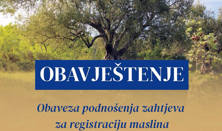 prijavit