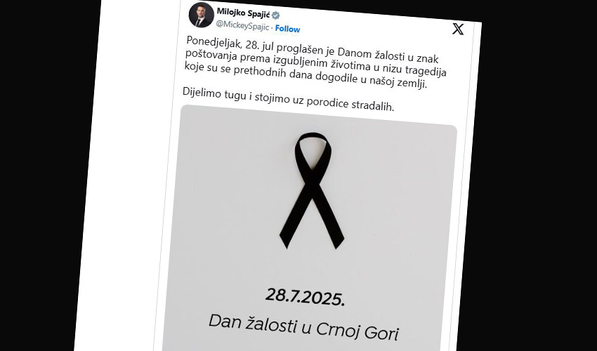 dan zall