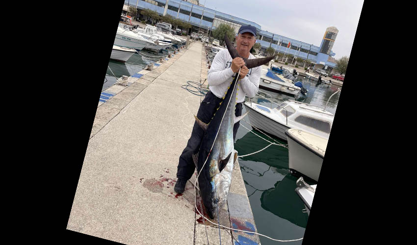 skero tuna