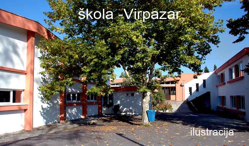 skola vir