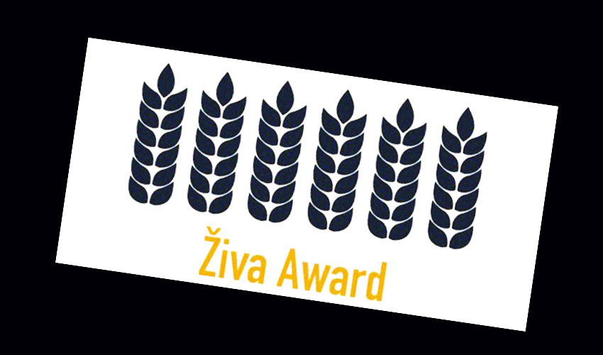 zzivva 1