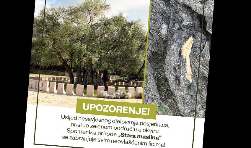 Upozorenje