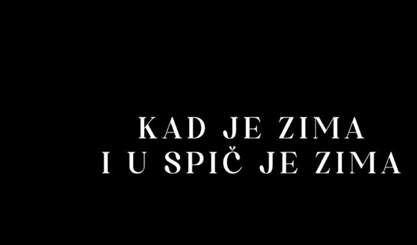 zim sp