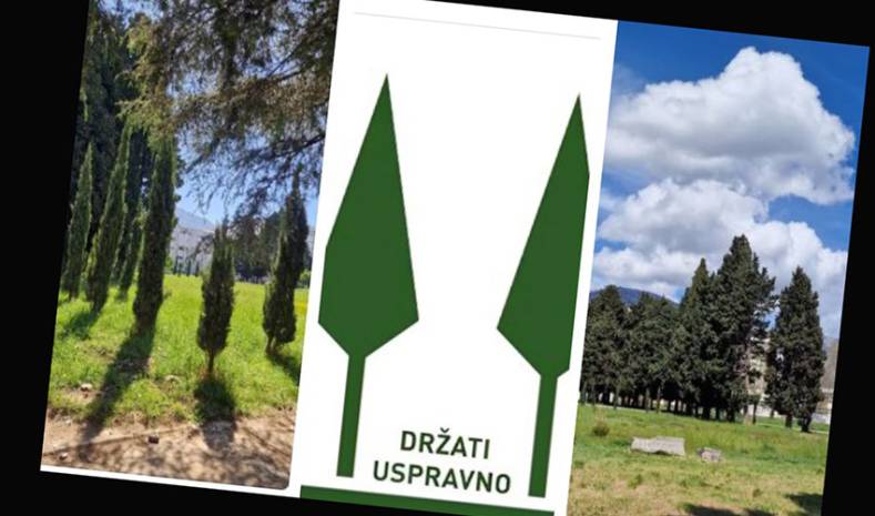 Stav:  Neven Leković