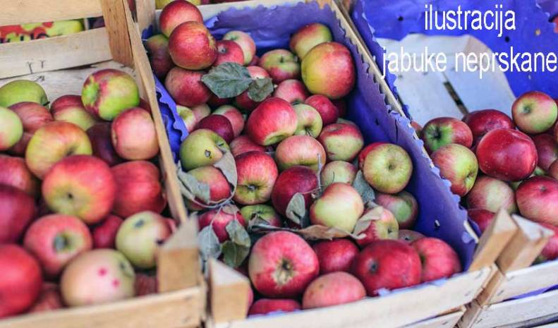  Socijalna pomoć & materijalna davanja