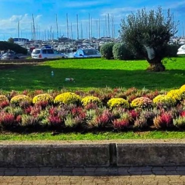  Zaposlenici Gradskog zelenila rade punom parom...